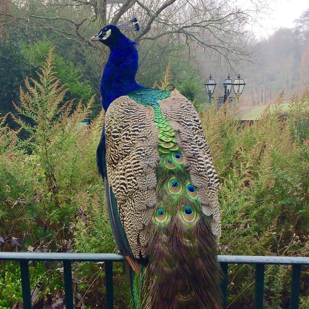 Meet your Posher, Jen